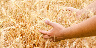 Demeter - die altgriechische Fruchtbarkeitsgöttin - steht dafür, der Natur mehr zu geben, als ihr zu nehmen.