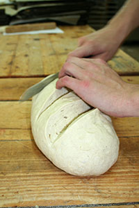 Bio-Bäckerei Vogel in Rödlitz